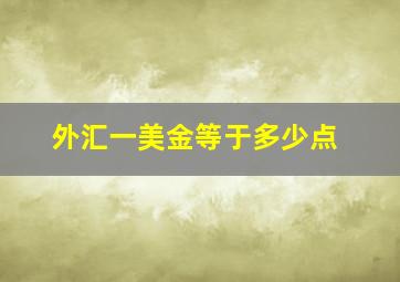 外汇一美金等于多少点