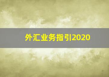 外汇业务指引2020