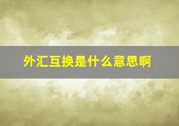 外汇互换是什么意思啊