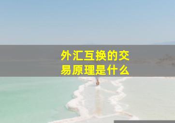 外汇互换的交易原理是什么