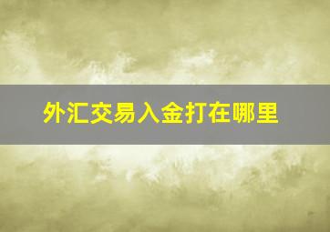 外汇交易入金打在哪里