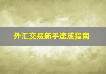 外汇交易新手速成指南