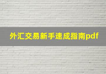 外汇交易新手速成指南pdf