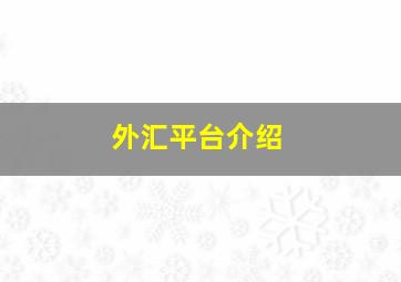 外汇平台介绍