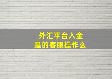 外汇平台入金是的客服操作么