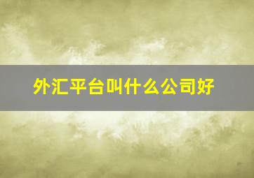 外汇平台叫什么公司好