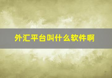 外汇平台叫什么软件啊