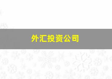 外汇投资公司