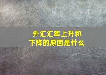 外汇汇率上升和下降的原因是什么