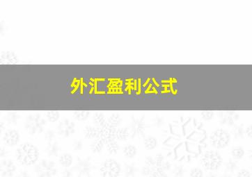 外汇盈利公式