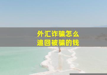 外汇诈骗怎么追回被骗的钱