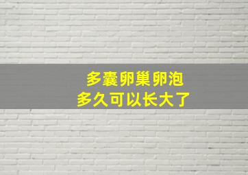 多囊卵巢卵泡多久可以长大了