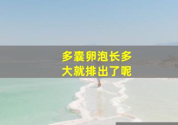 多囊卵泡长多大就排出了呢