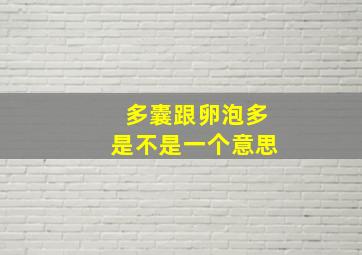 多囊跟卵泡多是不是一个意思