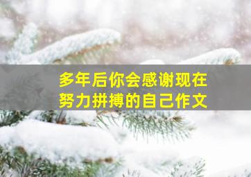 多年后你会感谢现在努力拼搏的自己作文