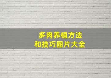 多肉养植方法和技巧图片大全