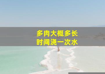 多肉大概多长时间浇一次水