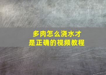 多肉怎么浇水才是正确的视频教程