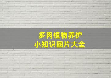 多肉植物养护小知识图片大全