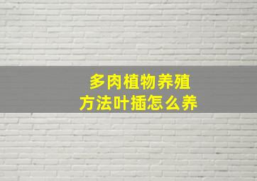 多肉植物养殖方法叶插怎么养