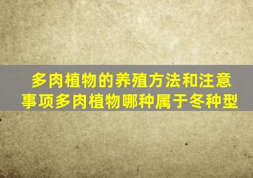 多肉植物的养殖方法和注意事项多肉植物哪种属于冬种型