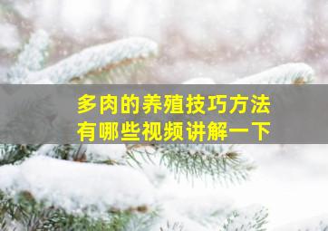 多肉的养殖技巧方法有哪些视频讲解一下