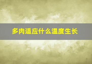 多肉适应什么温度生长