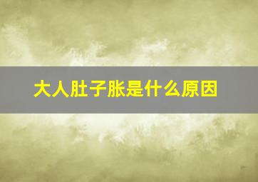 大人肚子胀是什么原因