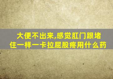 大便不出来,感觉肛门跟堵住一样一卡拉屁股疼用什么药