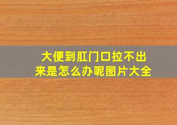 大便到肛门口拉不出来是怎么办呢图片大全