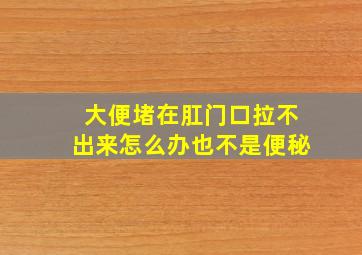 大便堵在肛门口拉不出来怎么办也不是便秘