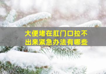 大便堵在肛门口拉不出来紧急办法有哪些