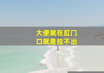 大便就在肛门口就是拉不出