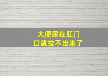 大便屎在肛门口就拉不出来了