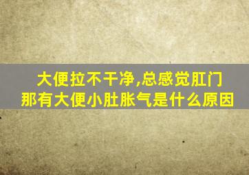 大便拉不干净,总感觉肛门那有大便小肚胀气是什么原因