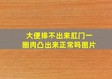 大便排不出来肛门一圈肉凸出来正常吗图片