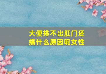 大便排不出肛门还痛什么原因呢女性