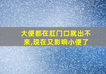 大便都在肛门口就出不来,现在又影响小便了