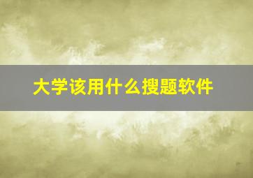 大学该用什么搜题软件