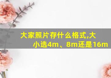 大家照片存什么格式,大小选4m、8m还是16m