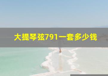 大提琴弦791一套多少钱