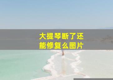 大提琴断了还能修复么图片