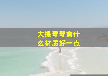 大提琴琴盒什么材质好一点