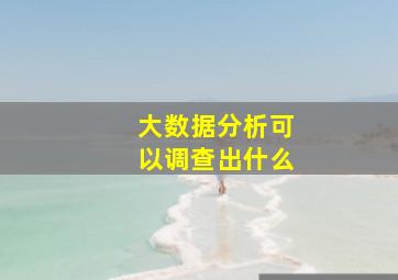 大数据分析可以调查出什么