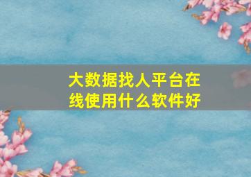 大数据找人平台在线使用什么软件好