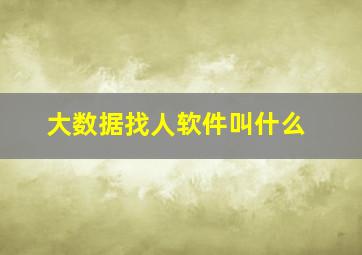 大数据找人软件叫什么