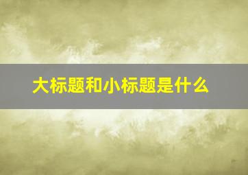 大标题和小标题是什么