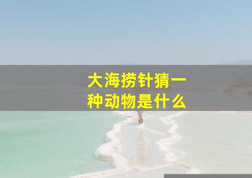 大海捞针猜一种动物是什么