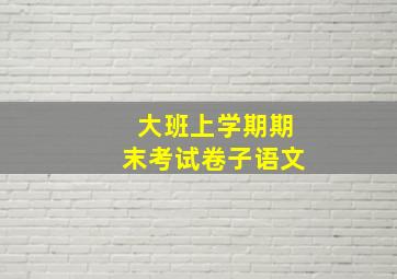 大班上学期期末考试卷子语文