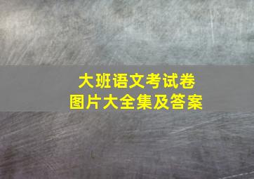 大班语文考试卷图片大全集及答案